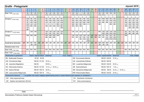 Wydruk - Grafik w układzie typów pracy i absencji